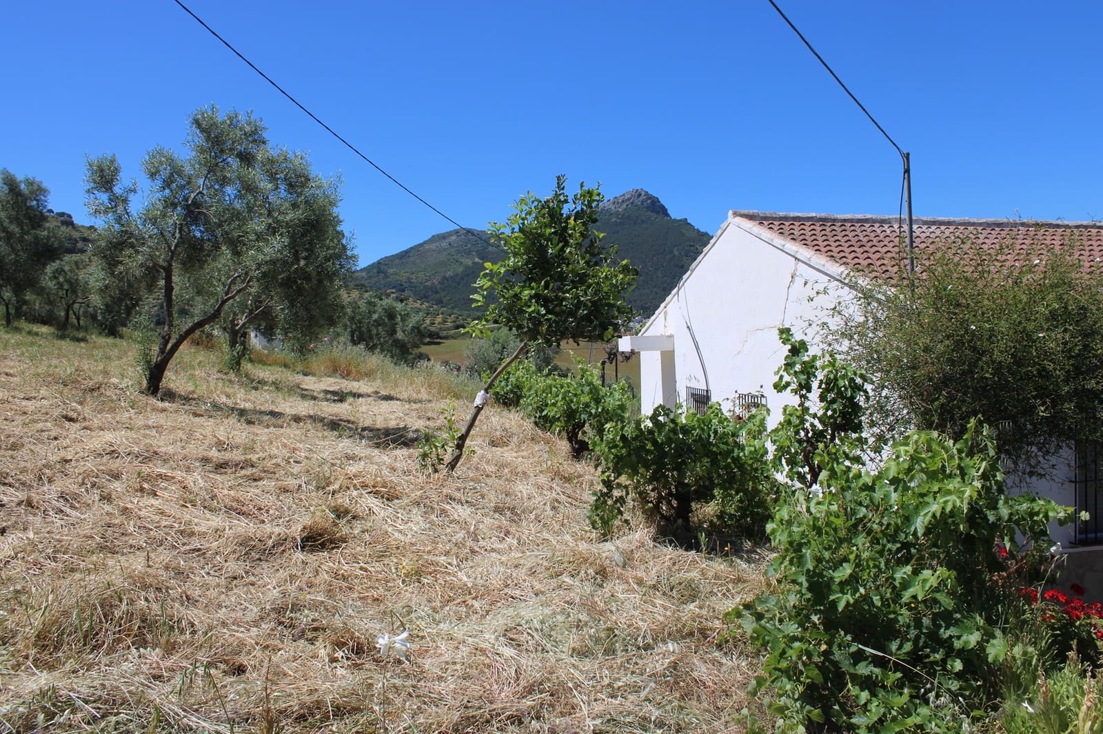 2 soveværelse Finca/Landehus til salg i El Gastor - € 165.000 (Ref: 8940191)