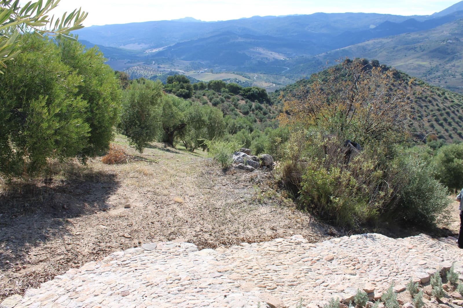 Terrain à Bâtir à vendre à El Gastor - 200 000 € (Ref: 8940196)