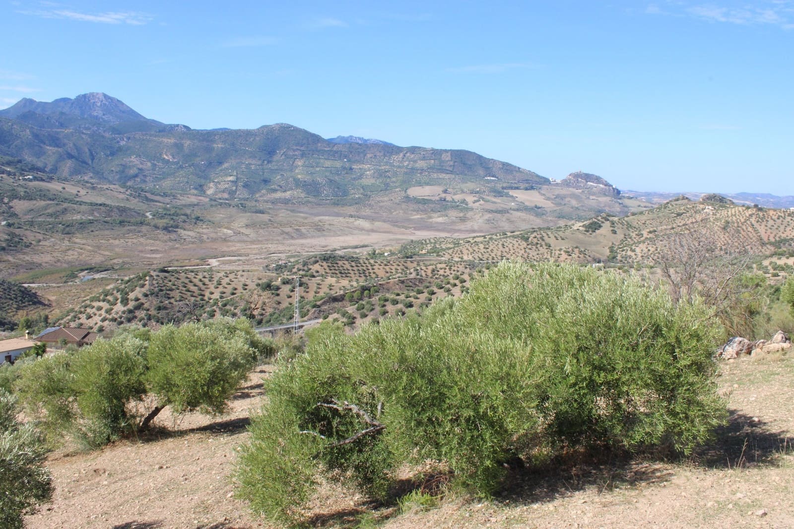 Terrain à Bâtir à vendre à El Gastor - 200 000 € (Ref: 8940196)