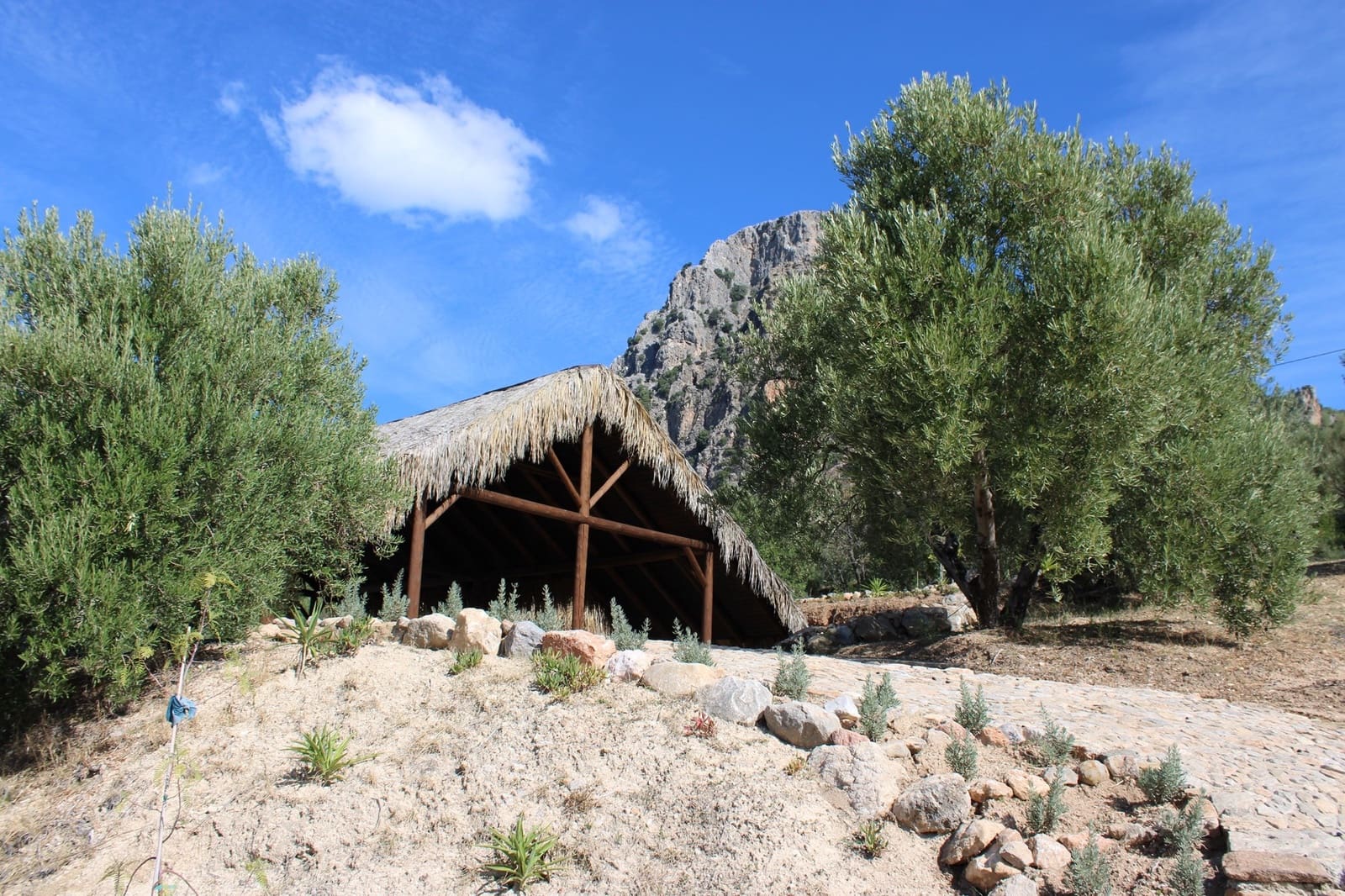 Terrain à Bâtir à vendre à El Gastor - 200 000 € (Ref: 8940196)