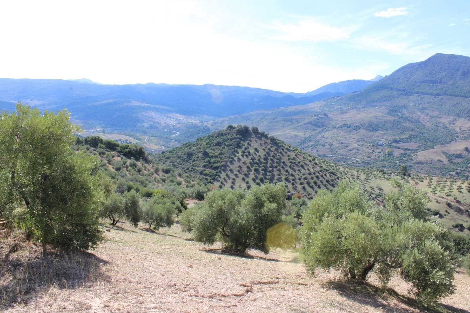 Terrain à Bâtir à vendre à El Gastor - 200 000 € (Ref: 8940196)