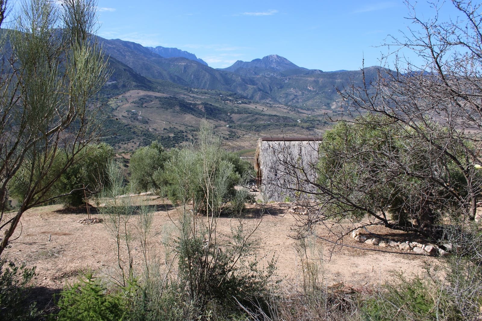 Terrain à Bâtir à vendre à El Gastor - 200 000 € (Ref: 8940196)