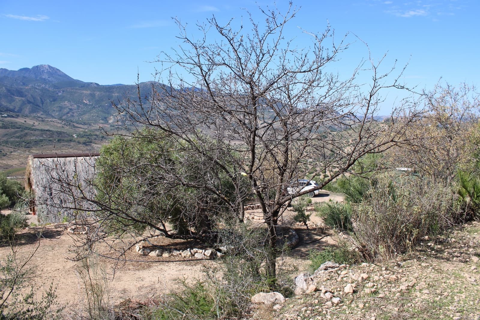 Terrain à Bâtir à vendre à El Gastor - 200 000 € (Ref: 8940196)