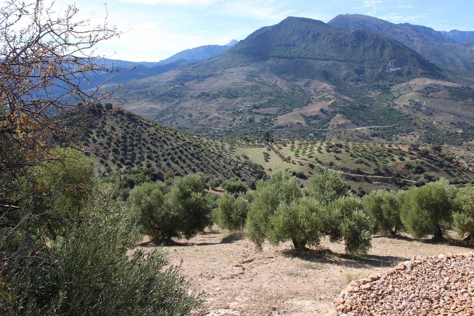 Terrain à Bâtir à vendre à El Gastor - 200 000 € (Ref: 8940196)
