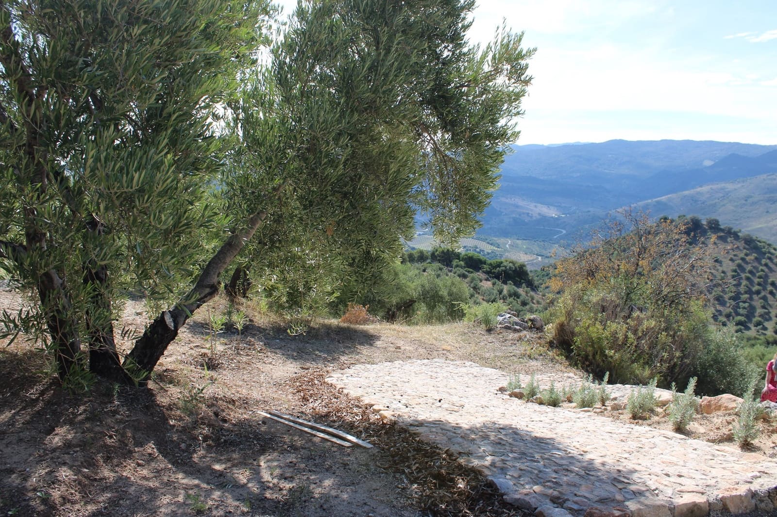 Terrain à Bâtir à vendre à El Gastor - 200 000 € (Ref: 8940196)