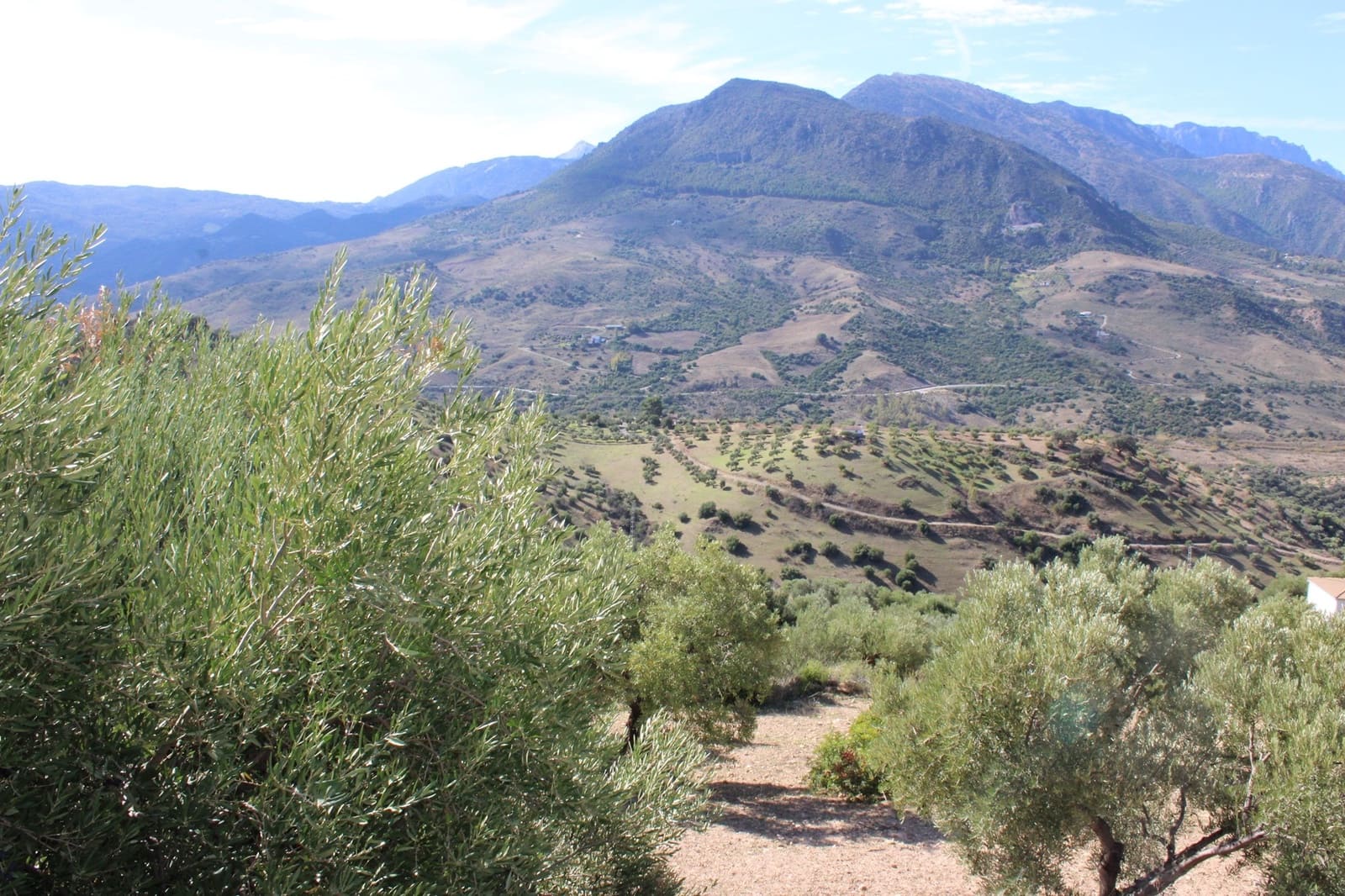 Terrain à Bâtir à vendre à El Gastor - 200 000 € (Ref: 8940196)