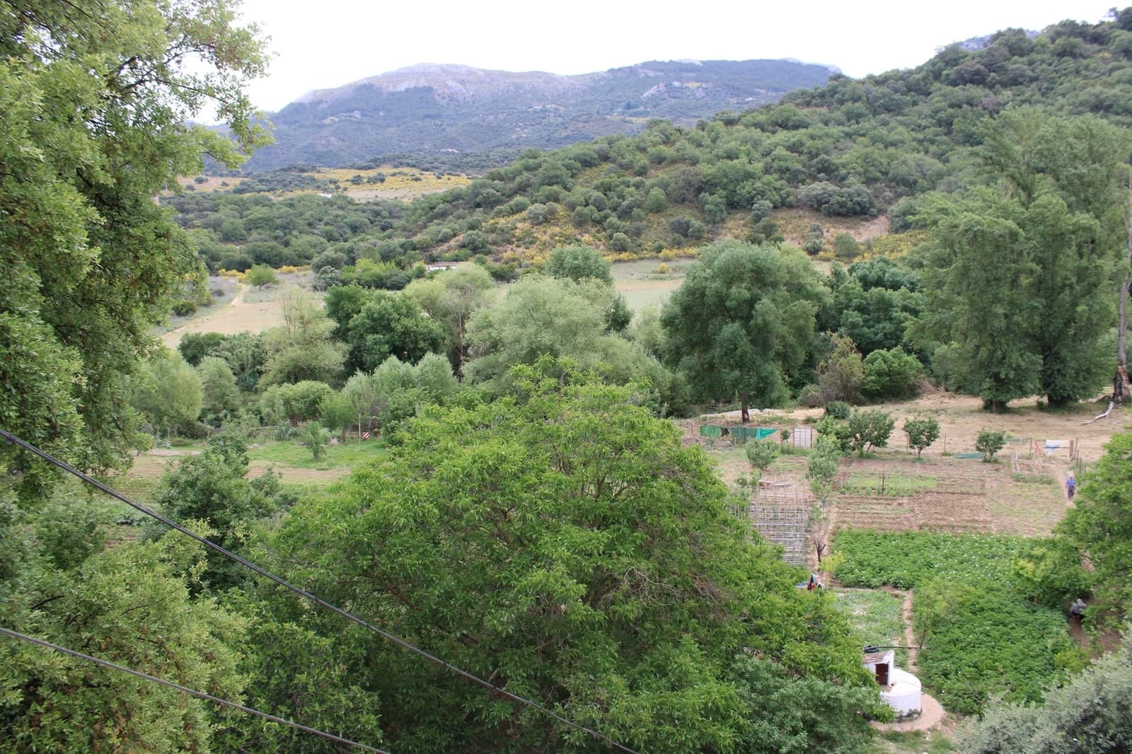 2 soveværelse Finca/Landehus til salg i Cortes de la Frontera med swimmingpool - € 240.000 (Ref: 8940205)