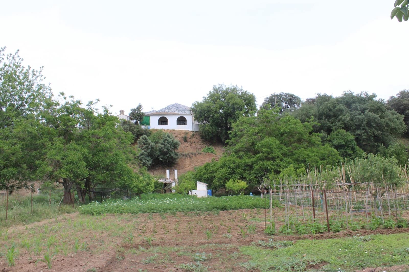 2 soveværelse Finca/Landehus til salg i Cortes de la Frontera med swimmingpool - € 240.000 (Ref: 8940205)