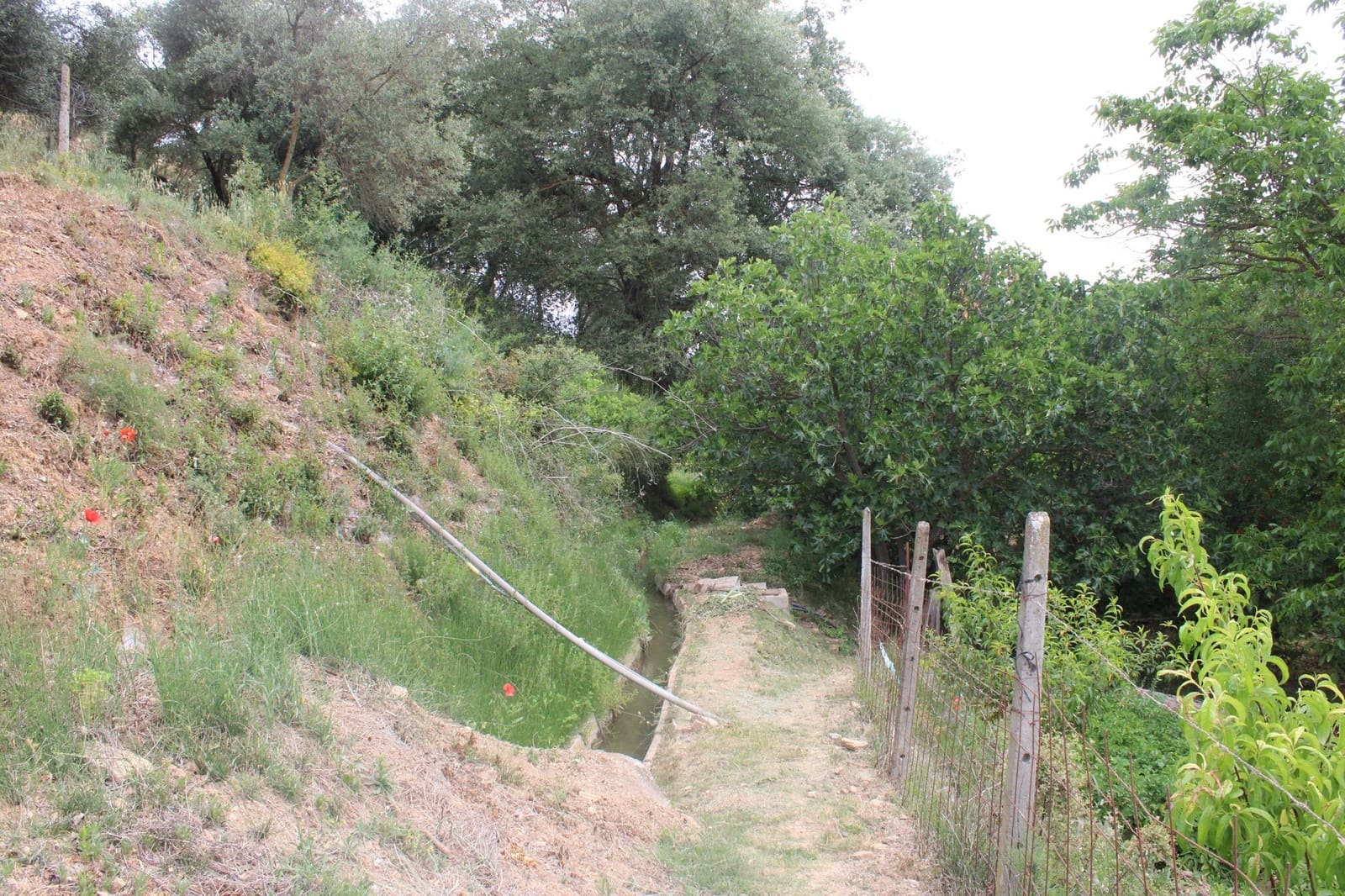 2 soveværelse Finca/Landehus til salg i Cortes de la Frontera med swimmingpool - € 240.000 (Ref: 8940205)