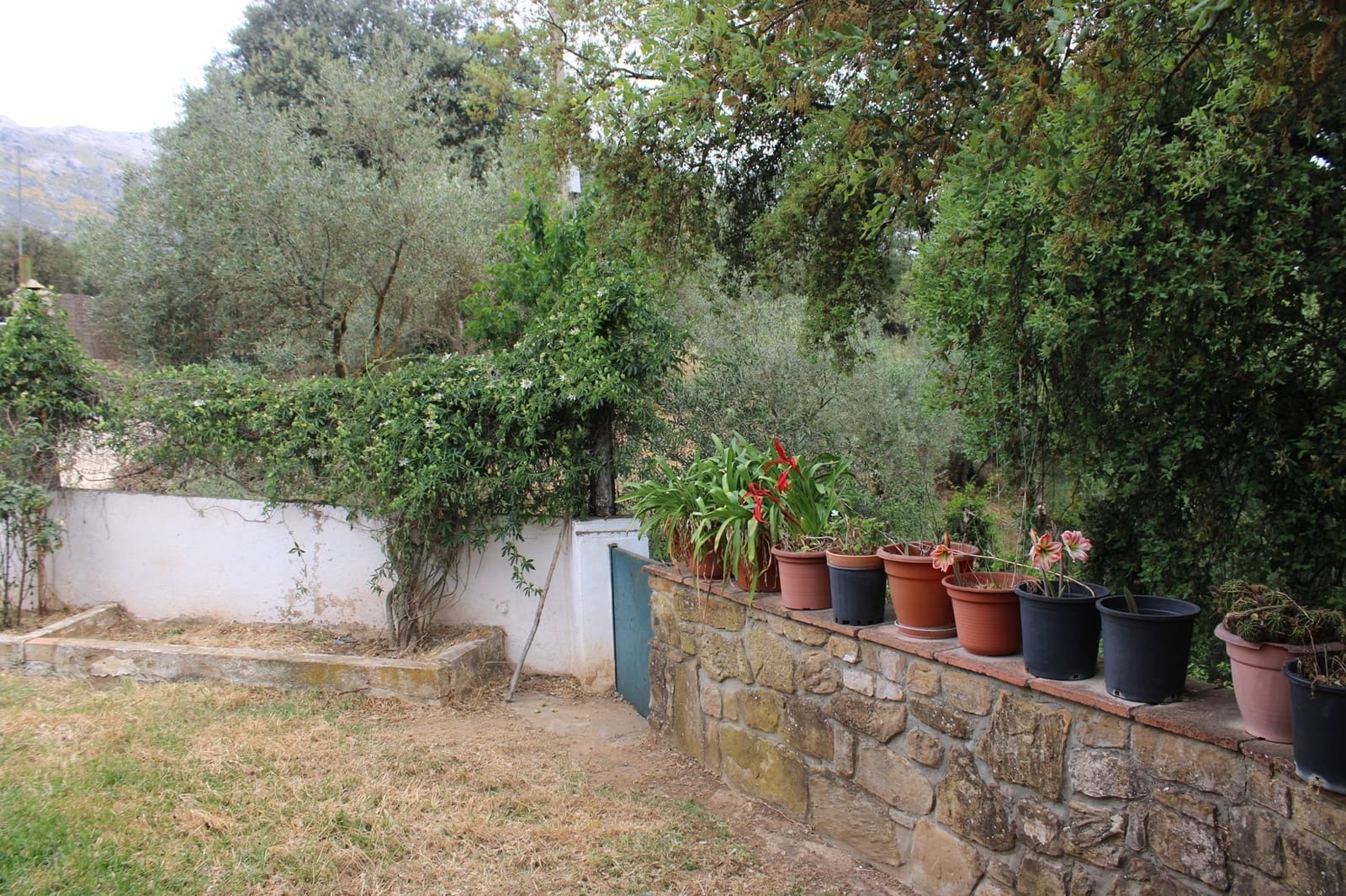 2 soveværelse Finca/Landehus til salg i Cortes de la Frontera med swimmingpool - € 240.000 (Ref: 8940205)