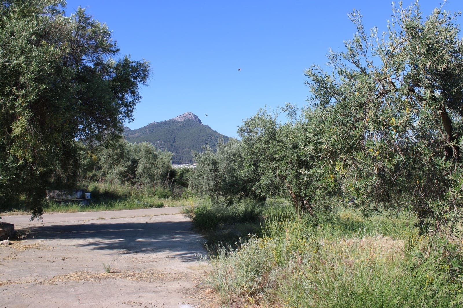 3 soverom Finca/Herregård til salgs i El Gastor med svømmebasseng - € 250 000 (Ref: 8940206)