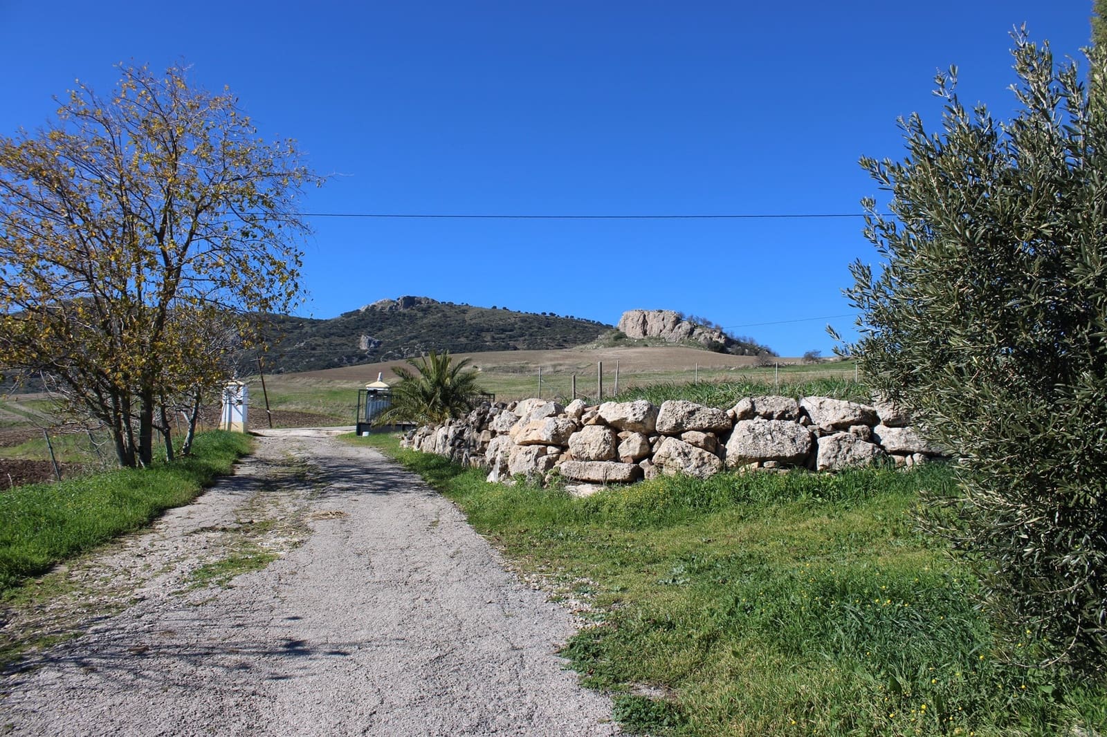 4 soveværelse Finca/Landehus til salg i Montecorto - € 280.000 (Ref: 8940208)