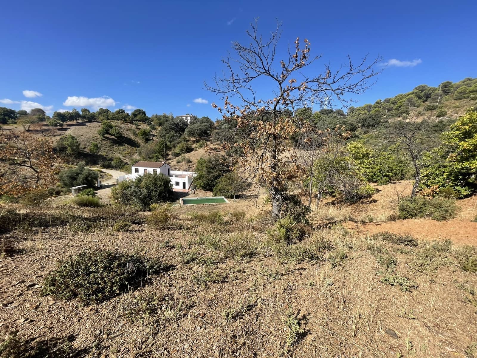 3 soveværelse Finca/Landehus til salg i Juzcar med swimmingpool - € 280.000 (Ref: 8940209)