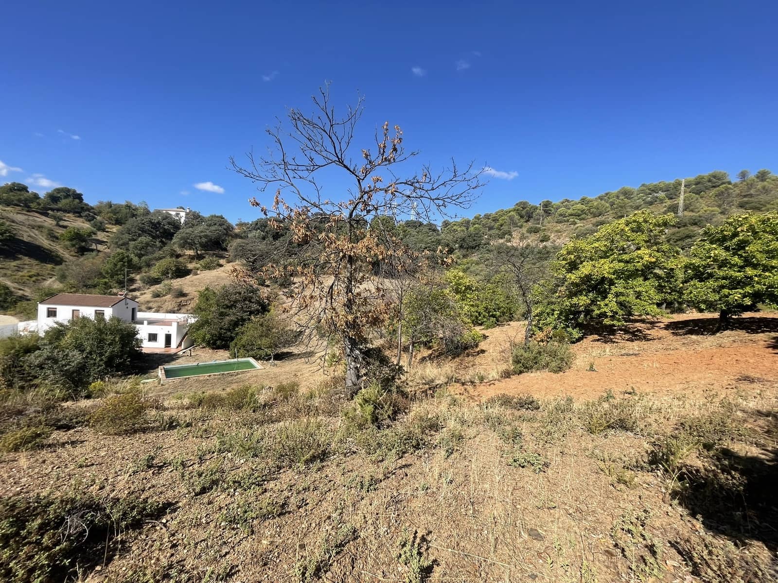 3 soveværelse Finca/Landehus til salg i Juzcar med swimmingpool - € 280.000 (Ref: 8940209)