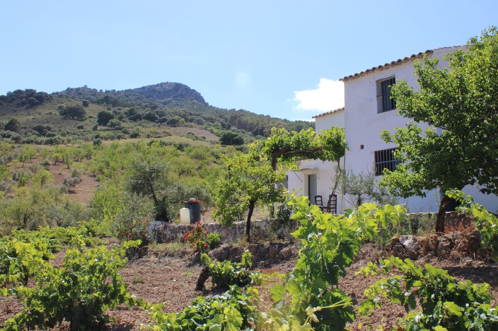 3 soveværelse Finca/Landehus til salg i El Gastor - € 280.000 (Ref: 8940210)