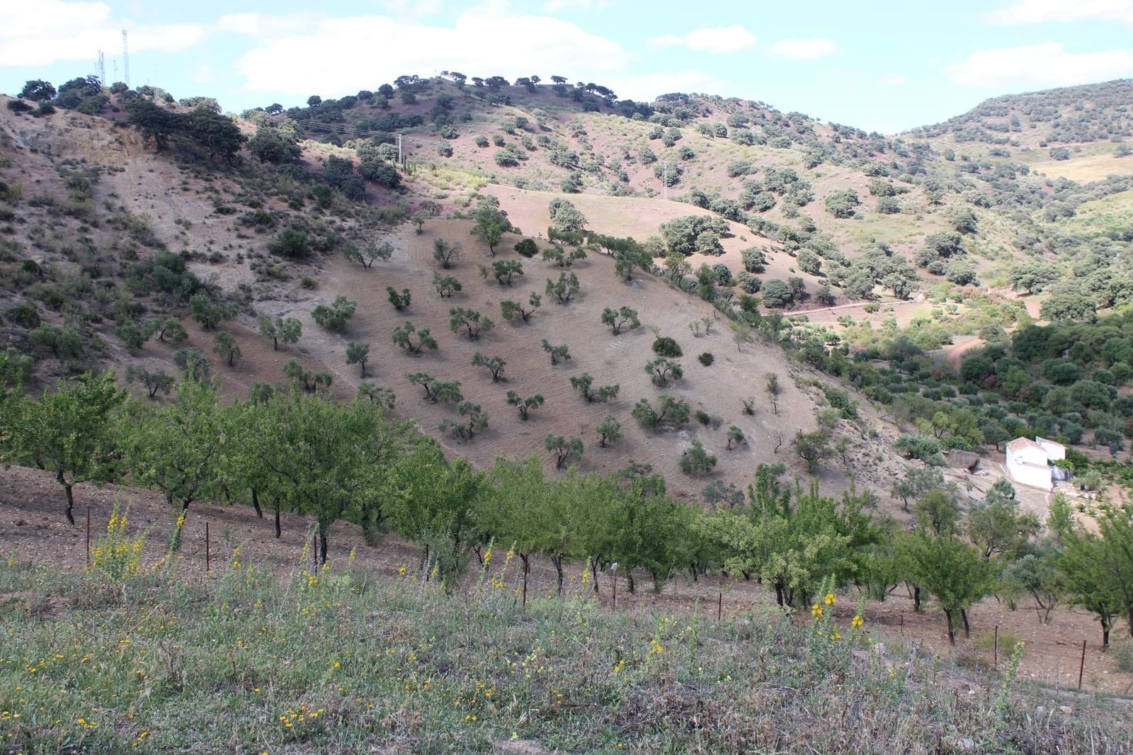 3 soveværelse Finca/Landehus til salg i El Gastor - € 280.000 (Ref: 8940210)