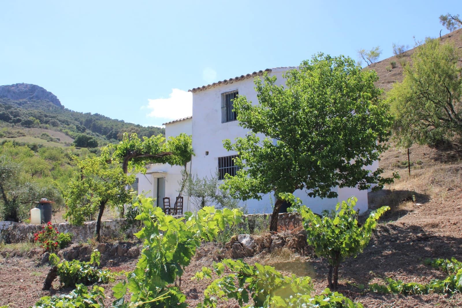 3 soveværelse Finca/Landehus til salg i El Gastor - € 280.000 (Ref: 8940210)