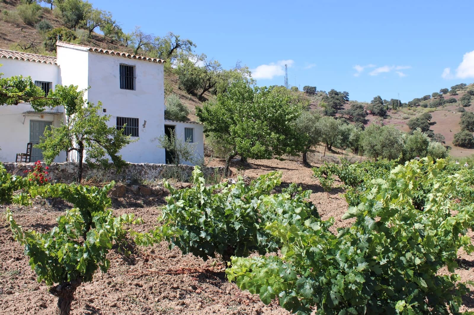 3 soveværelse Finca/Landehus til salg i El Gastor - € 280.000 (Ref: 8940210)