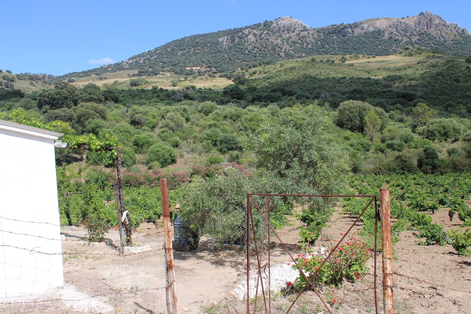 3 soveværelse Finca/Landehus til salg i El Gastor - € 280.000 (Ref: 8940210)