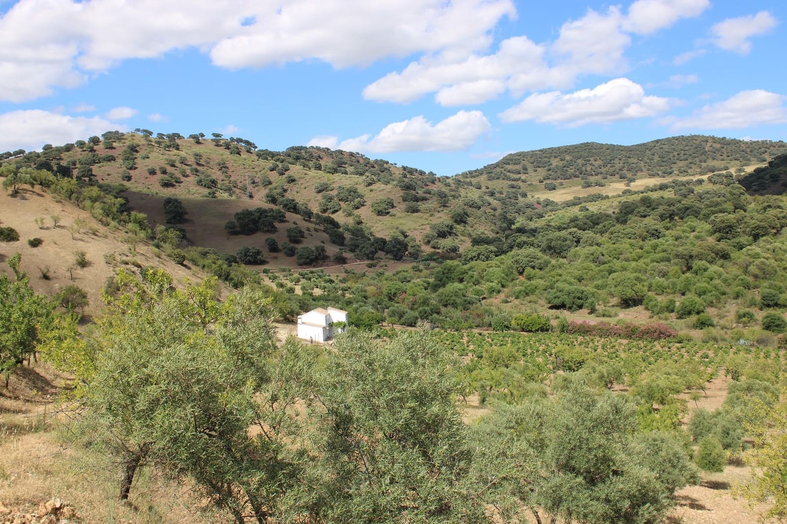 3 soveværelse Finca/Landehus til salg i El Gastor - € 280.000 (Ref: 8940210)