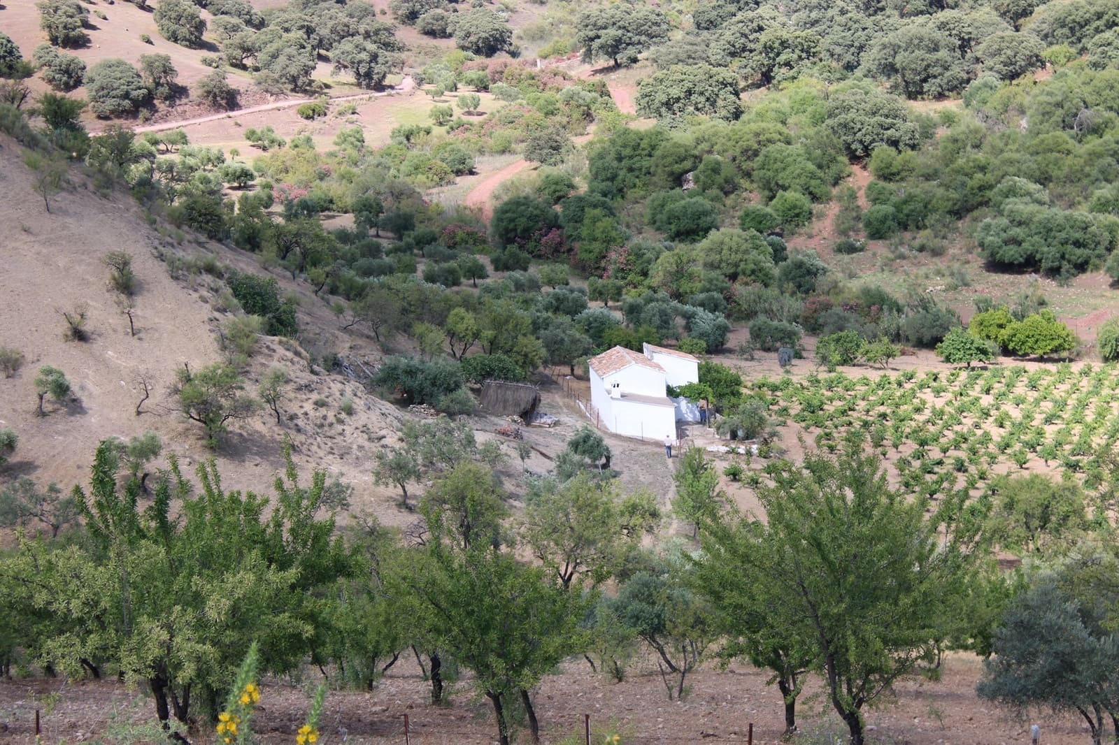 3 soveværelse Finca/Landehus til salg i El Gastor - € 280.000 (Ref: 8940210)