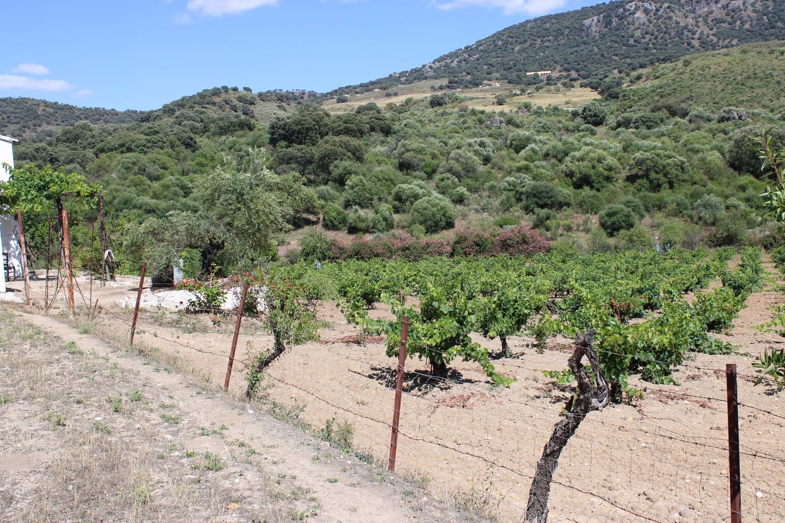 3 soveværelse Finca/Landehus til salg i El Gastor - € 280.000 (Ref: 8940210)