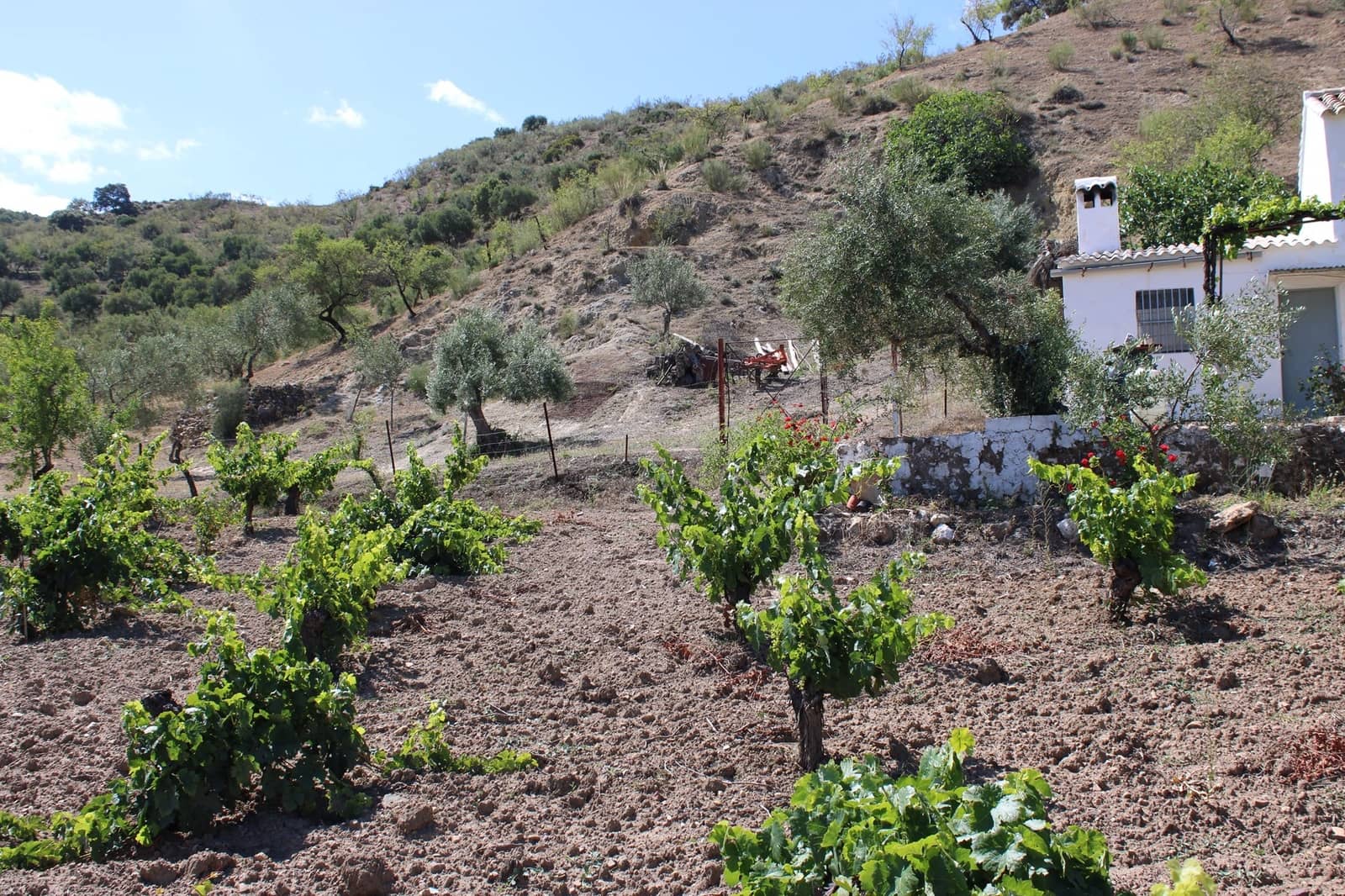 3 soveværelse Finca/Landehus til salg i El Gastor - € 280.000 (Ref: 8940210)