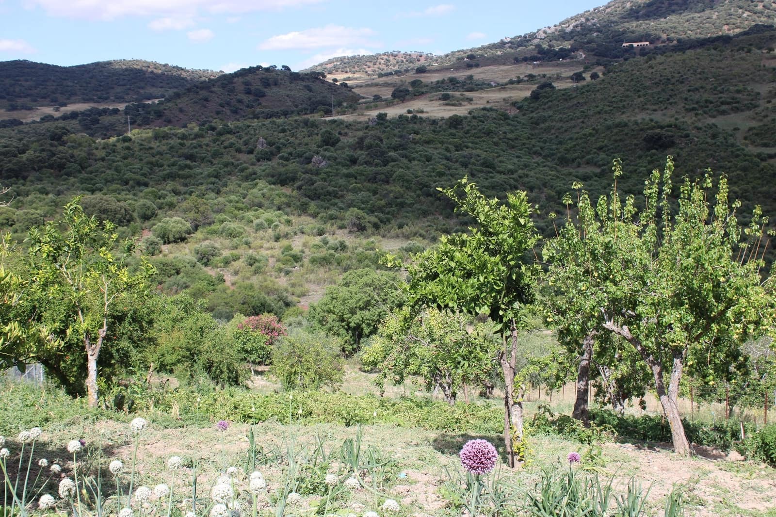 3 soveværelse Finca/Landehus til salg i El Gastor - € 280.000 (Ref: 8940210)