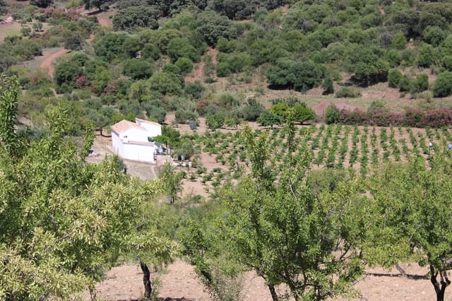 3 soveværelse Finca/Landehus til salg i El Gastor - € 280.000 (Ref: 8940210)