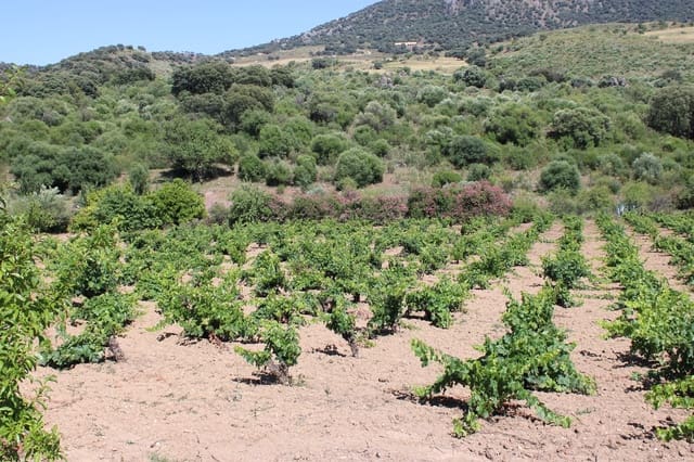 3 soveværelse Finca/Landehus til salg i El Gastor - € 280.000 (Ref: 8940210)