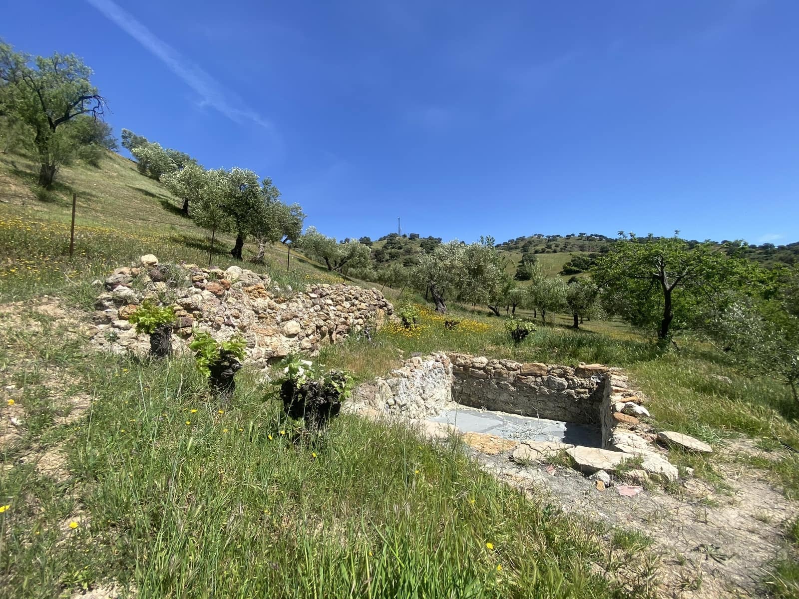 3 soveværelse Finca/Landehus til salg i El Gastor - € 280.000 (Ref: 8940210)
