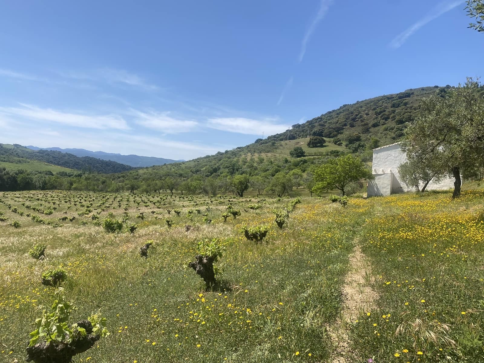 3 soveværelse Finca/Landehus til salg i El Gastor - € 280.000 (Ref: 8940210)