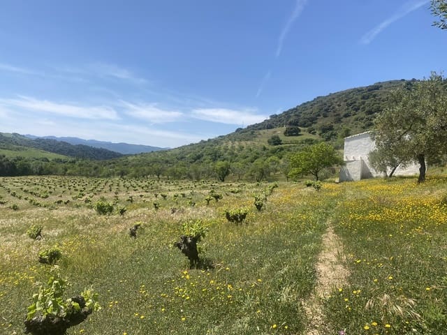 3 bedroom Finca/Country House for sale in El Gastor - € 280,000 (Ref: 8940210)