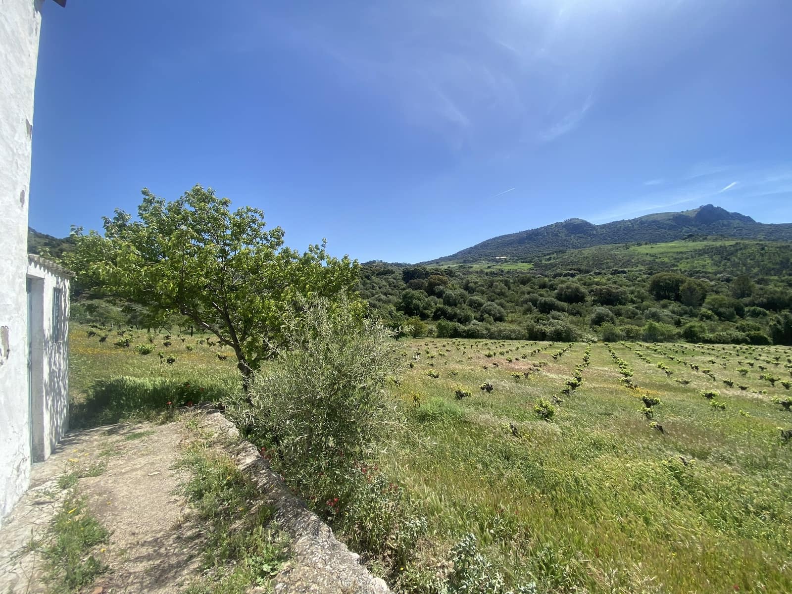 3 soveværelse Finca/Landehus til salg i El Gastor - € 280.000 (Ref: 8940210)