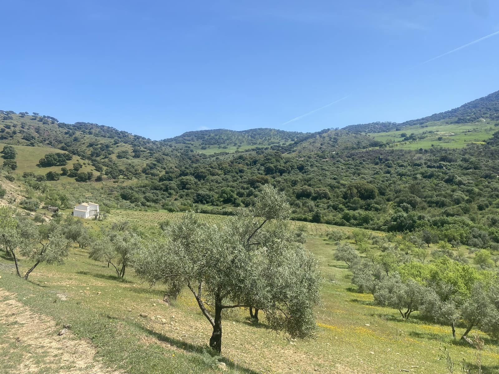 3 soveværelse Finca/Landehus til salg i El Gastor - € 280.000 (Ref: 8940210)