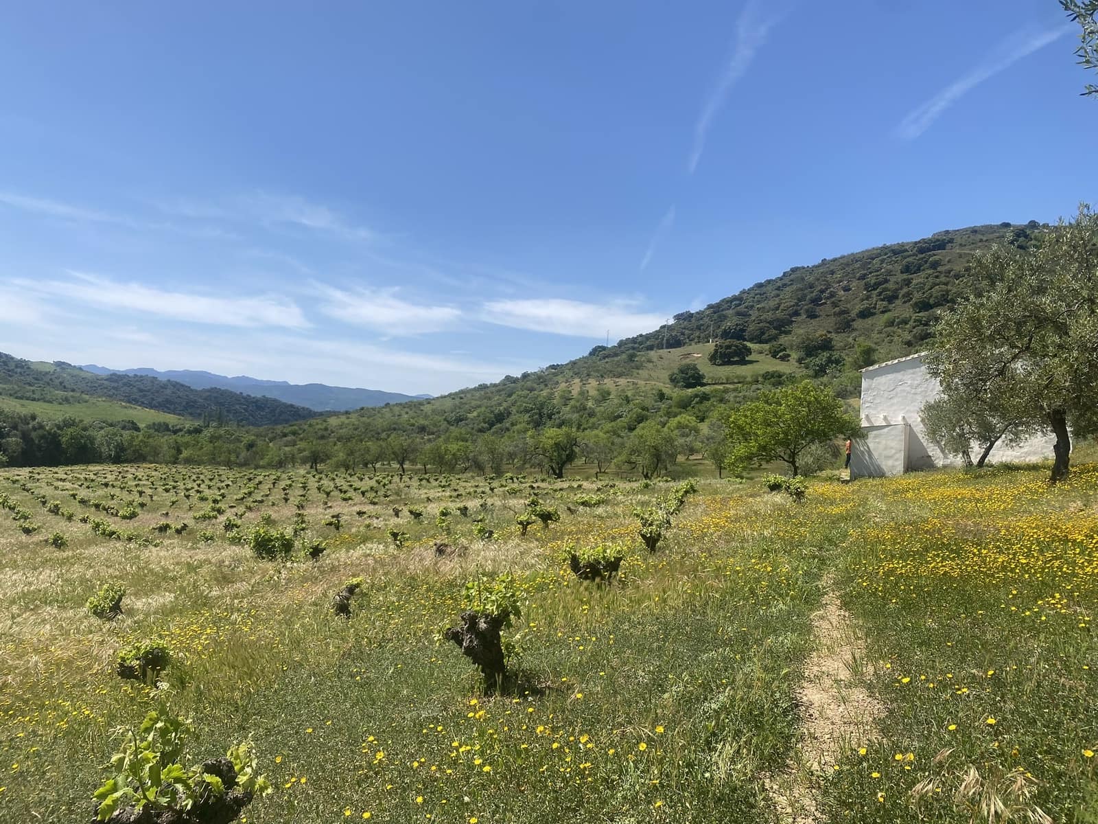 3 soveværelse Finca/Landehus til salg i El Gastor - € 280.000 (Ref: 8940210)