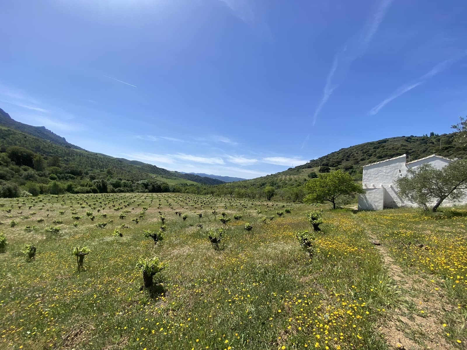 3 soveværelse Finca/Landehus til salg i El Gastor - € 280.000 (Ref: 8940210)