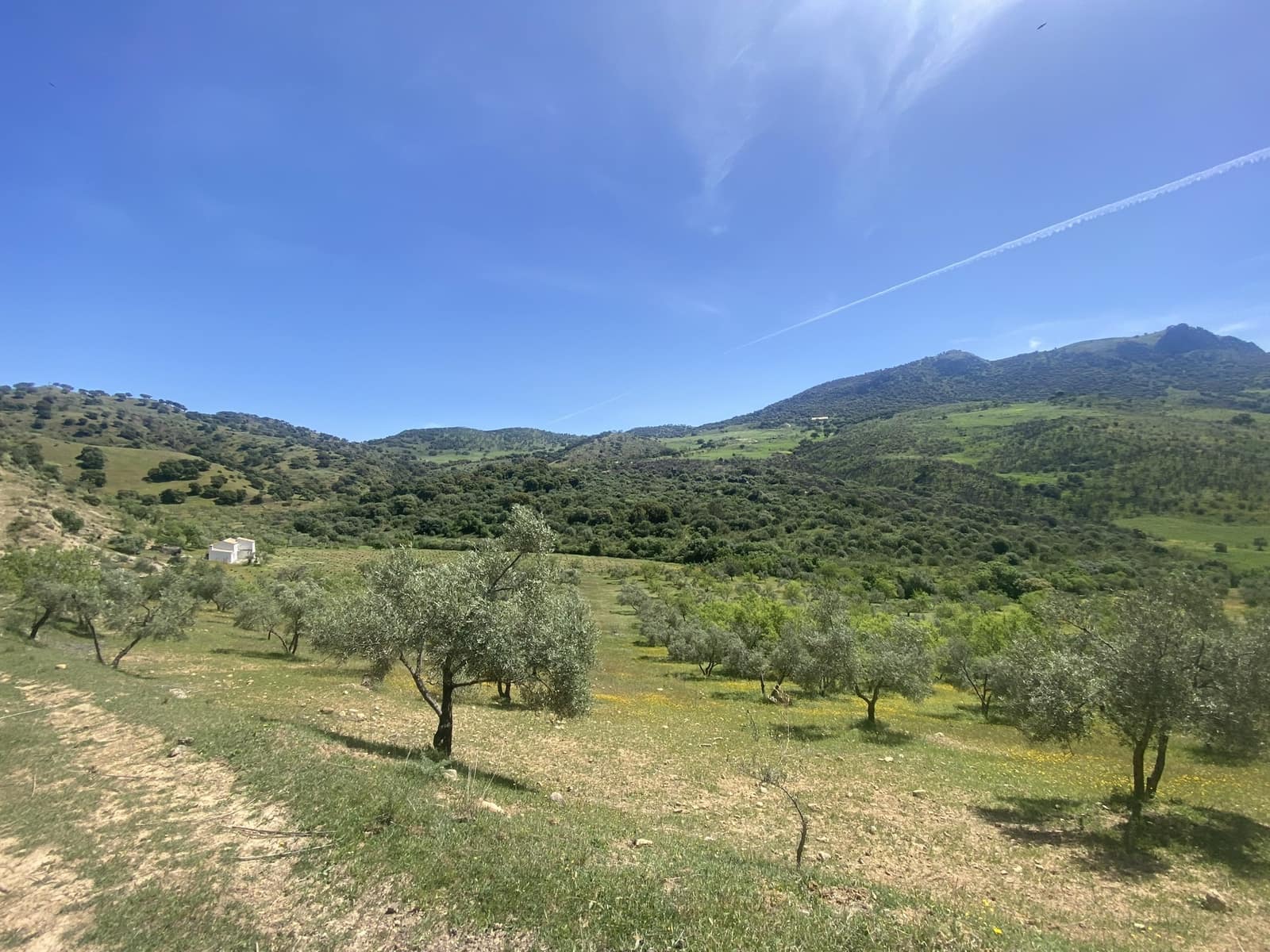 3 soveværelse Finca/Landehus til salg i El Gastor - € 280.000 (Ref: 8940210)