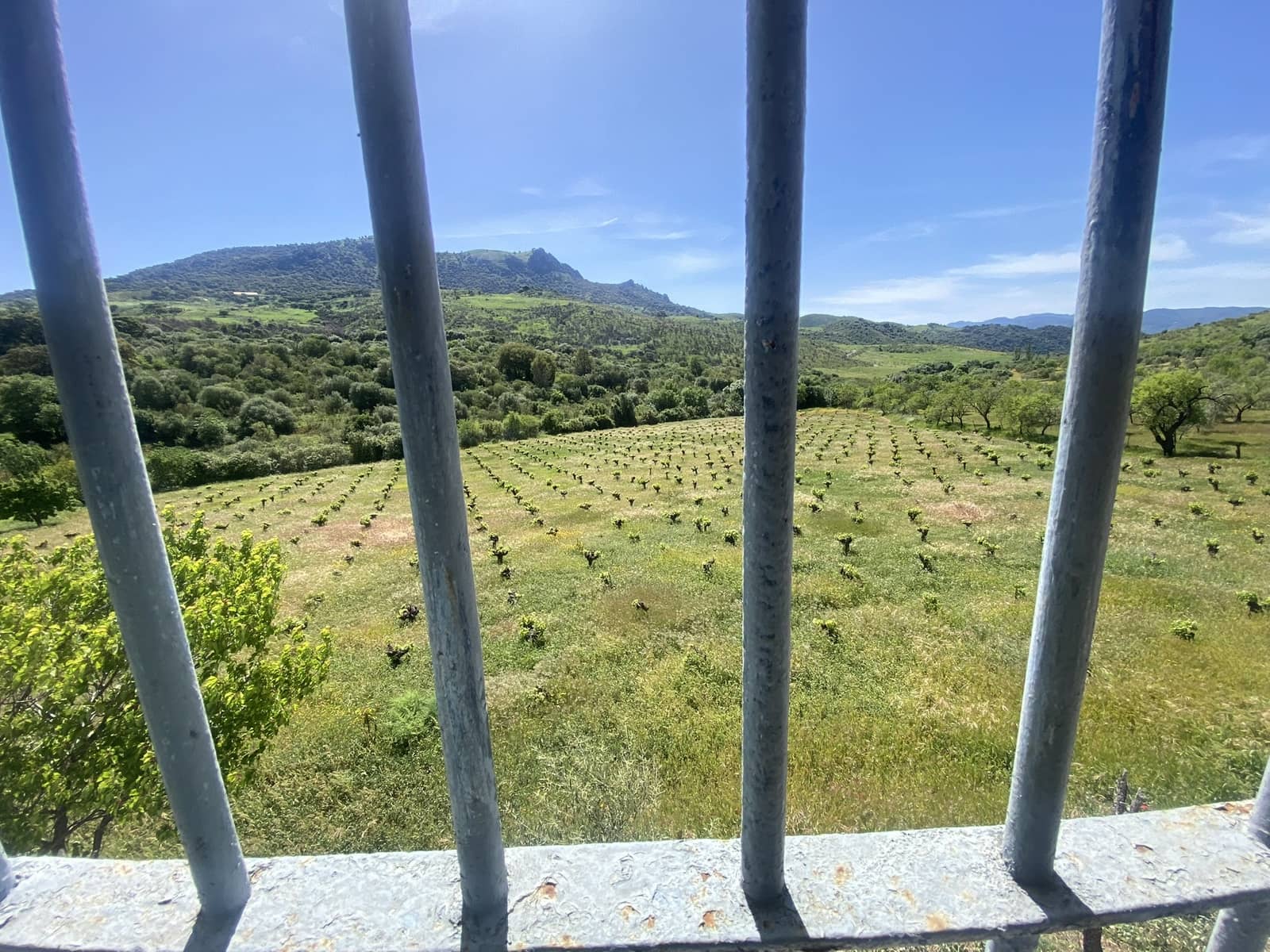 3 soveværelse Finca/Landehus til salg i El Gastor - € 280.000 (Ref: 8940210)
