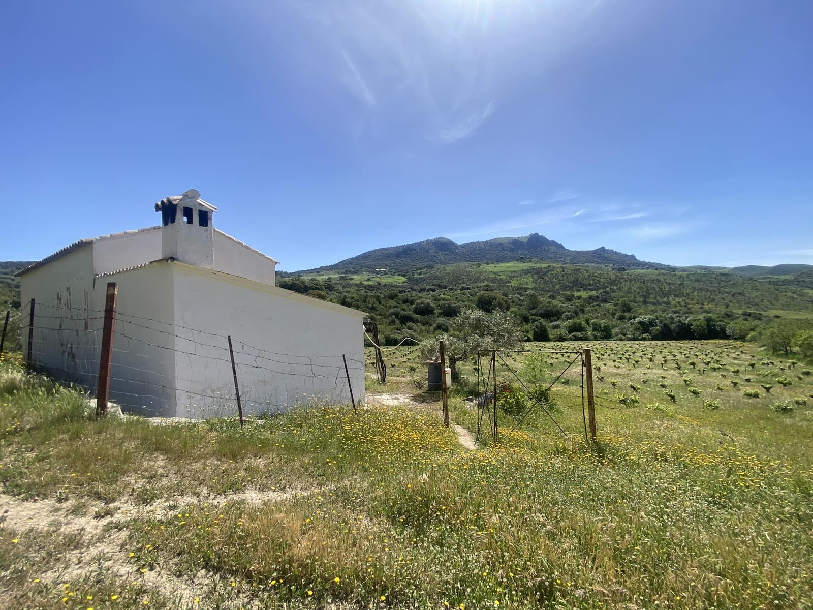 3 soveværelse Finca/Landehus til salg i El Gastor - € 280.000 (Ref: 8940210)