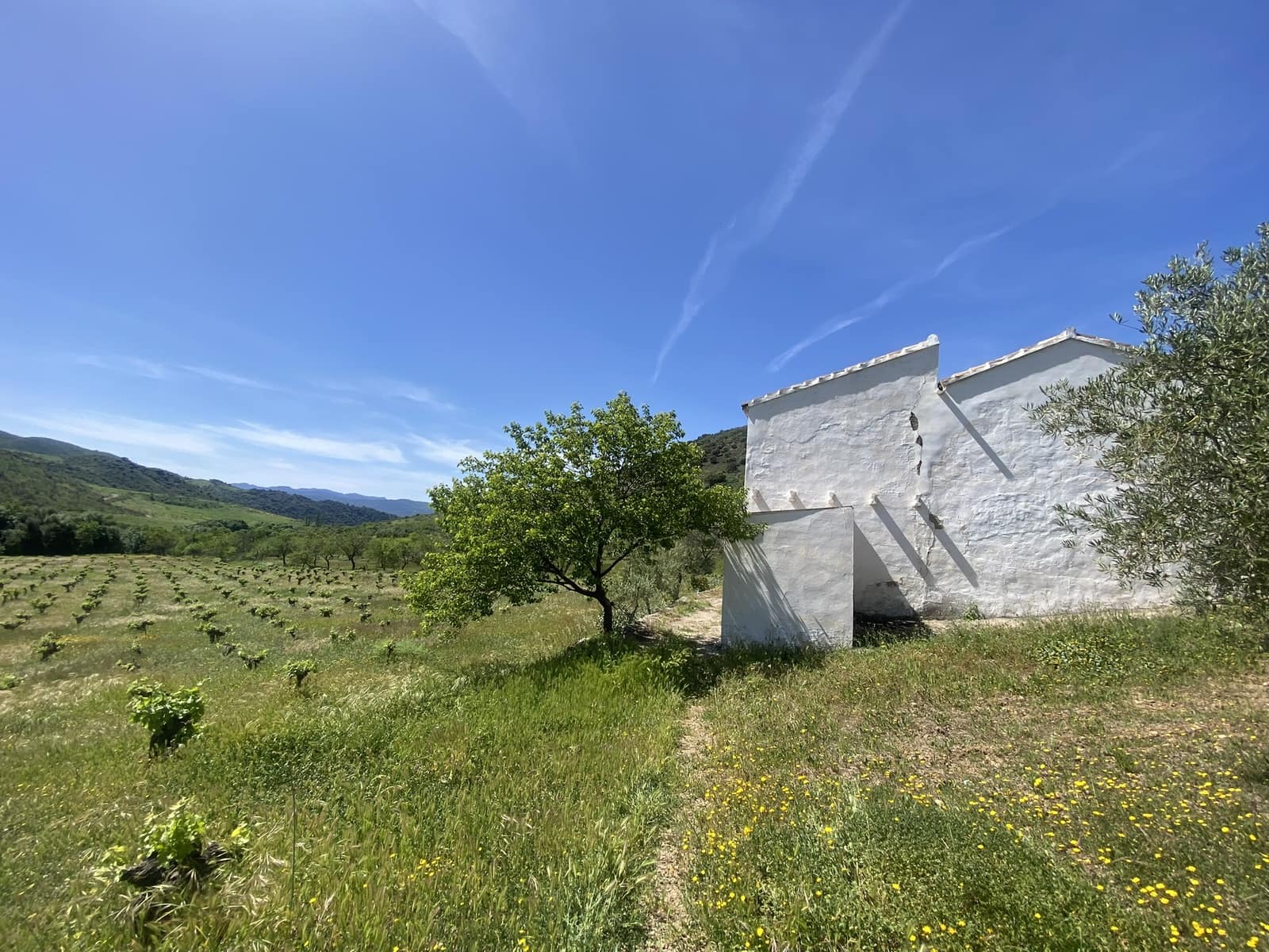 3 soveværelse Finca/Landehus til salg i El Gastor - € 280.000 (Ref: 8940210)