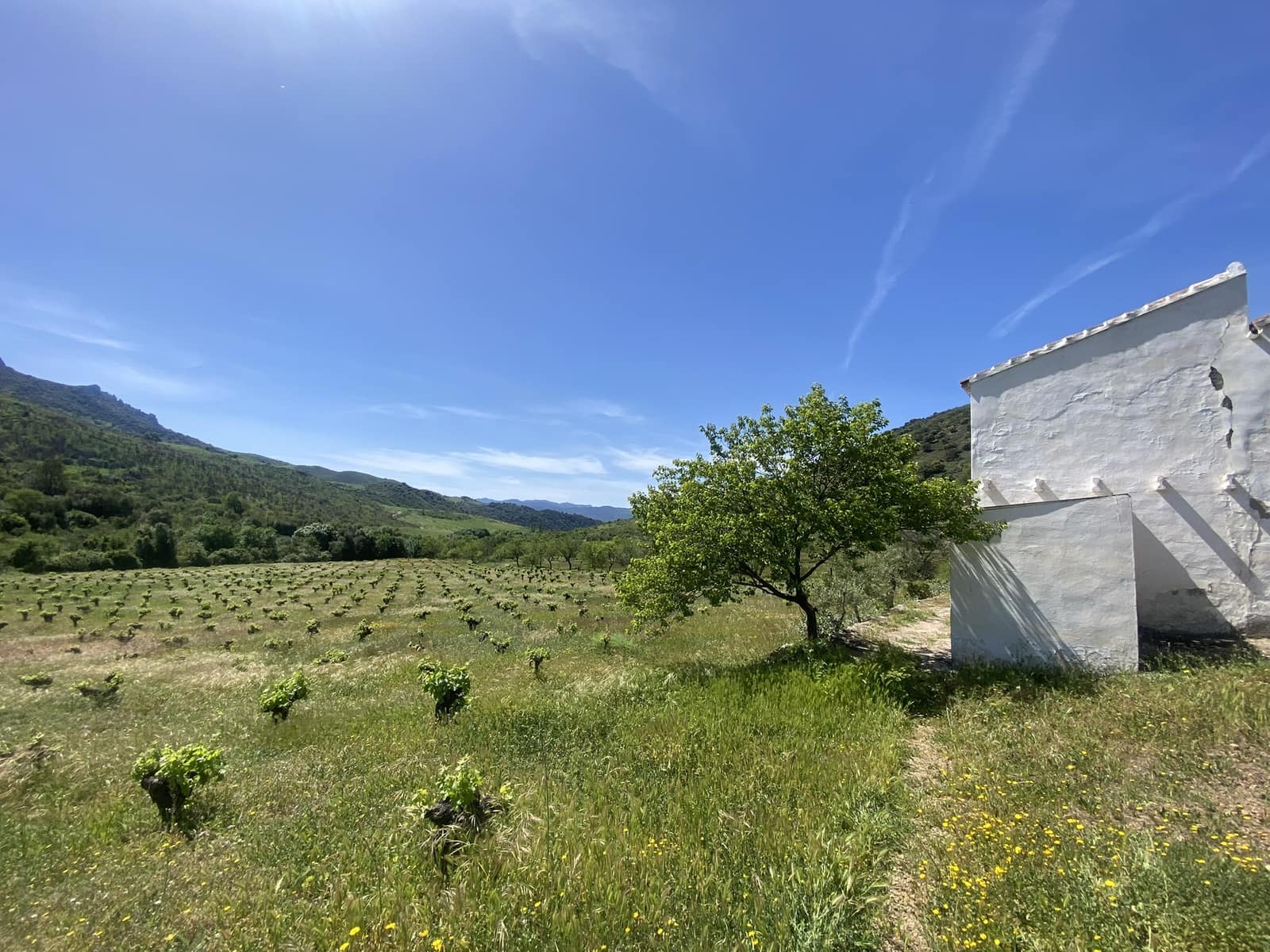 3 soveværelse Finca/Landehus til salg i El Gastor - € 280.000 (Ref: 8940210)