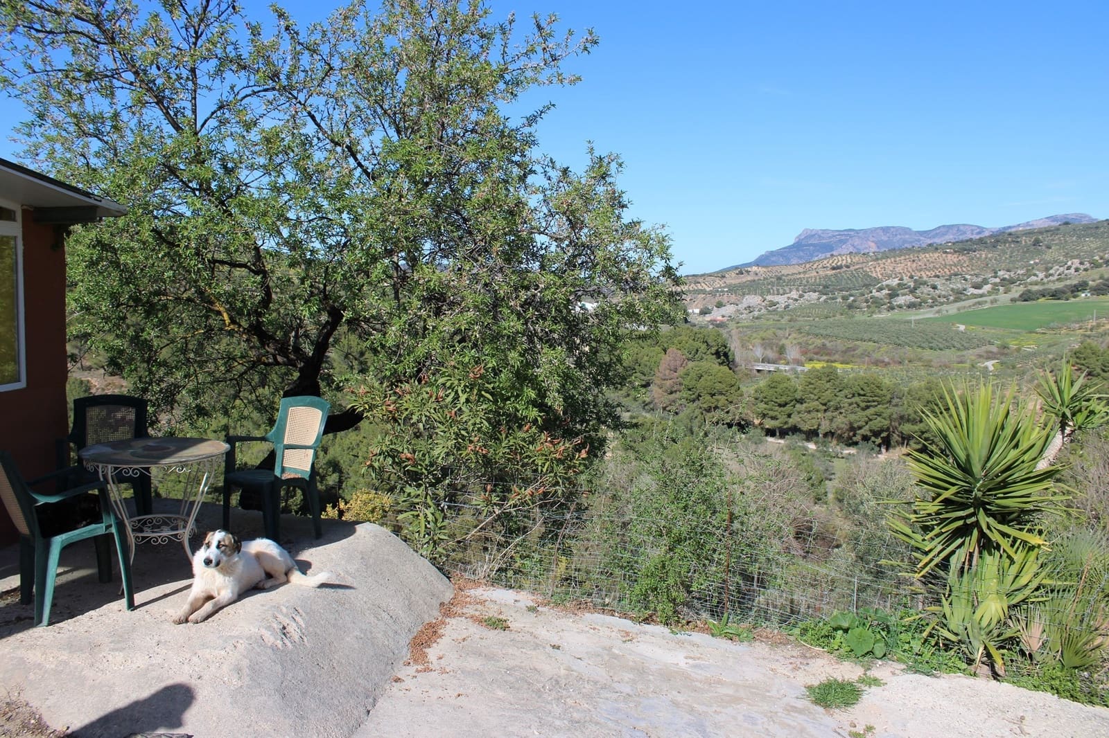 5 soveværelse Finca/Landehus til salg i El Burgo med swimmingpool - € 250.000 (Ref: 8940214)