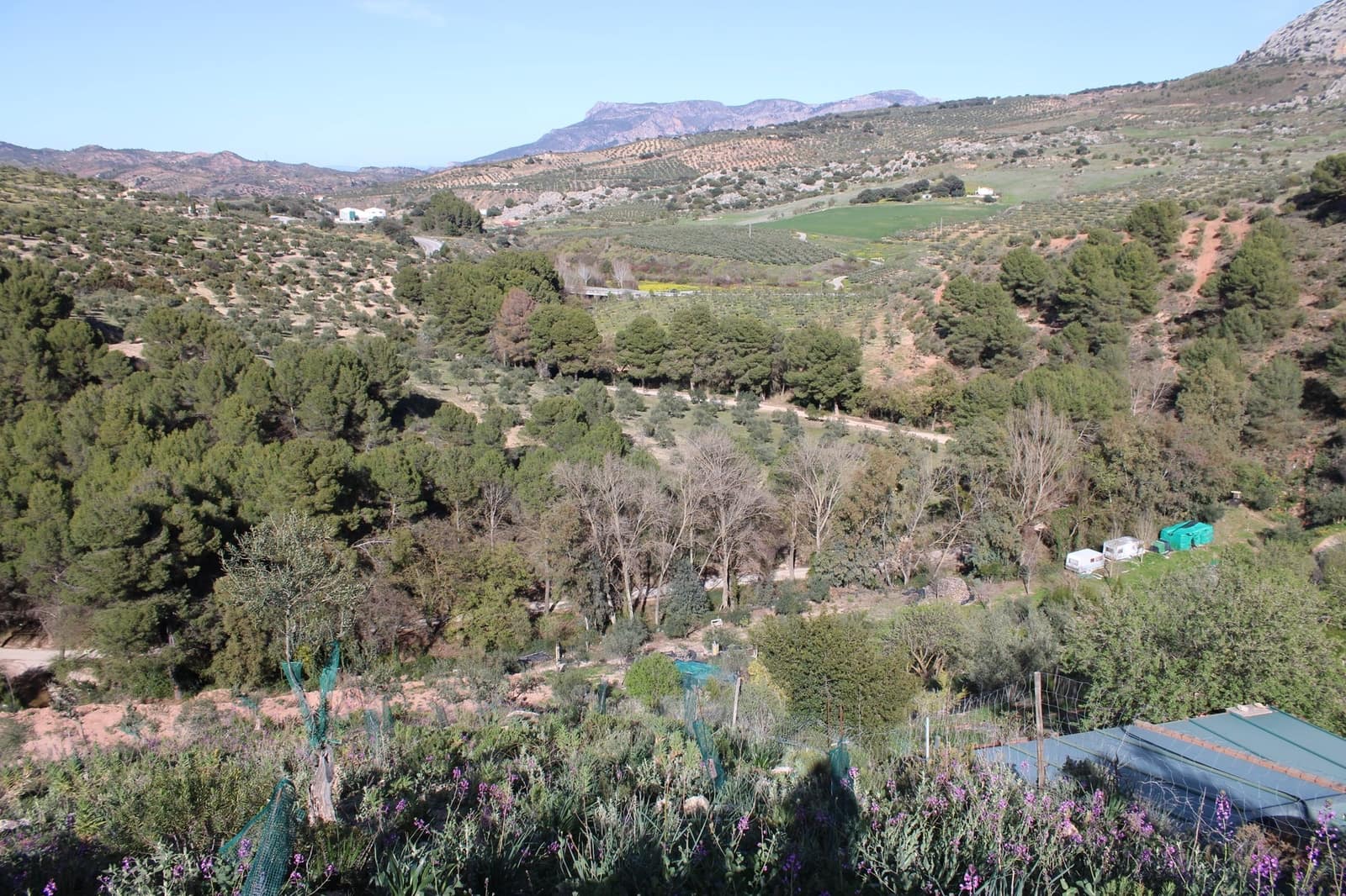 5 soveværelse Finca/Landehus til salg i El Burgo med swimmingpool - € 250.000 (Ref: 8940214)