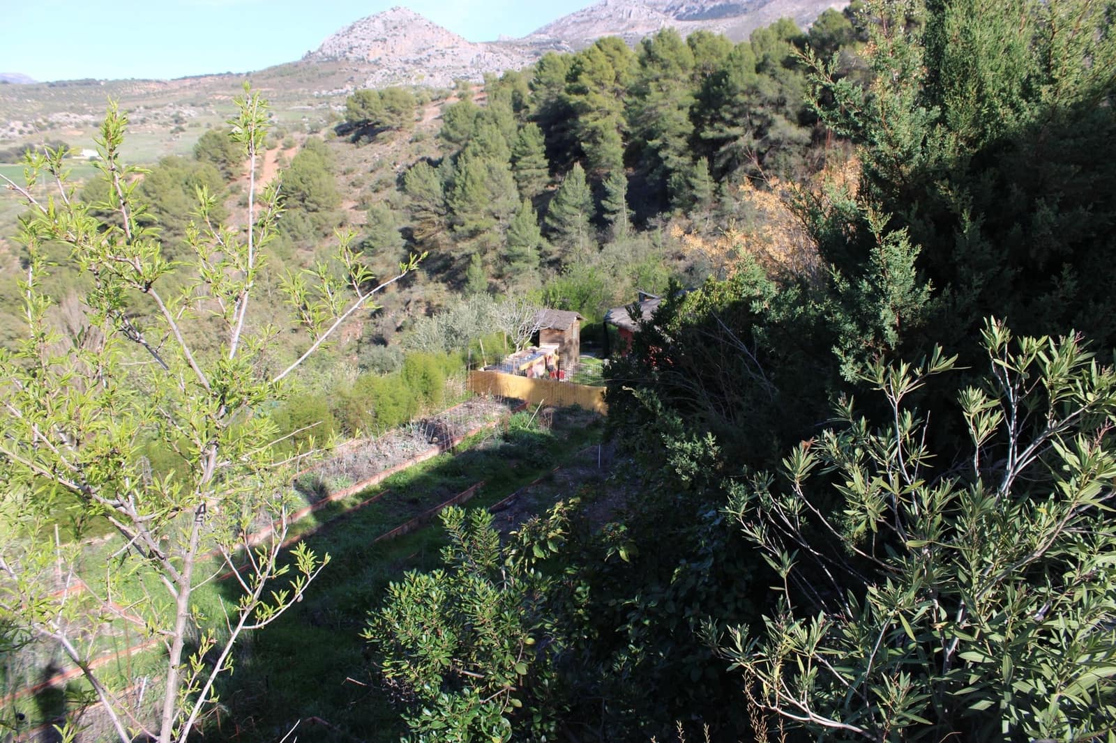 5 soveværelse Finca/Landehus til salg i El Burgo med swimmingpool - € 250.000 (Ref: 8940214)