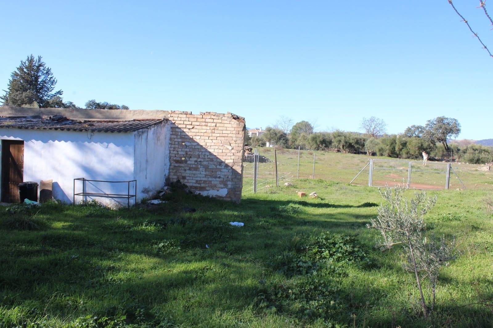 1 camera da letto Finca/Casa di Campagna in vendita in Ronda - 350.000 € (Rif: 8940219)