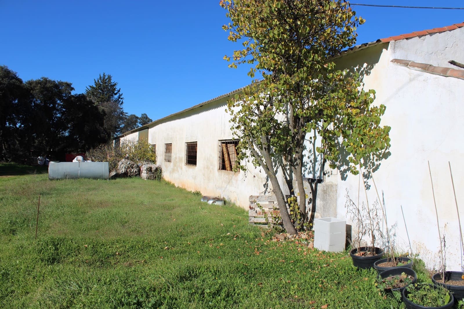 1 camera da letto Finca/Casa di Campagna in vendita in Ronda - 350.000 € (Rif: 8940219)