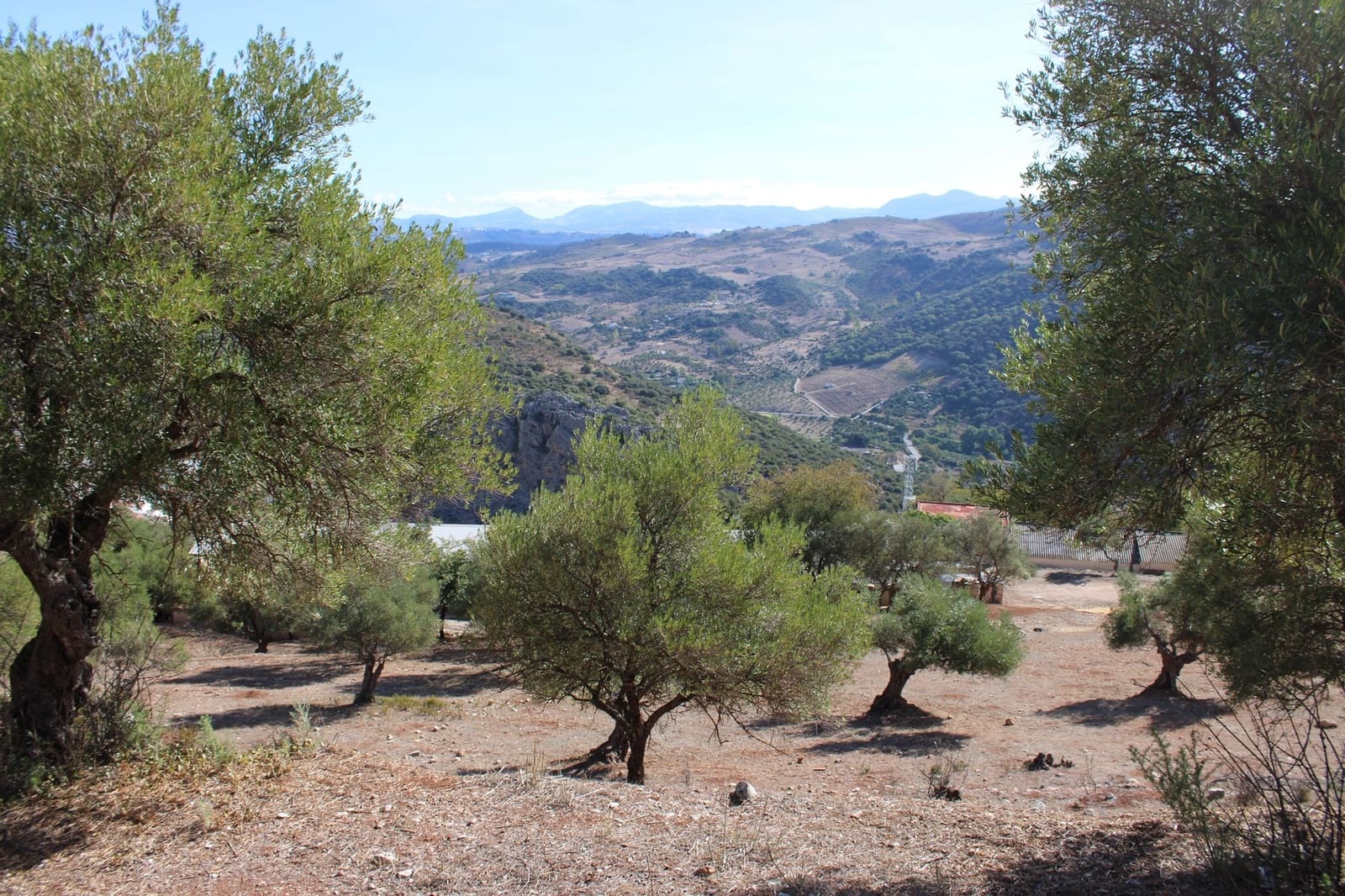 2 bedroom Finca/Country House for sale in Benaojan - € 380,000 (Ref: 8940221)