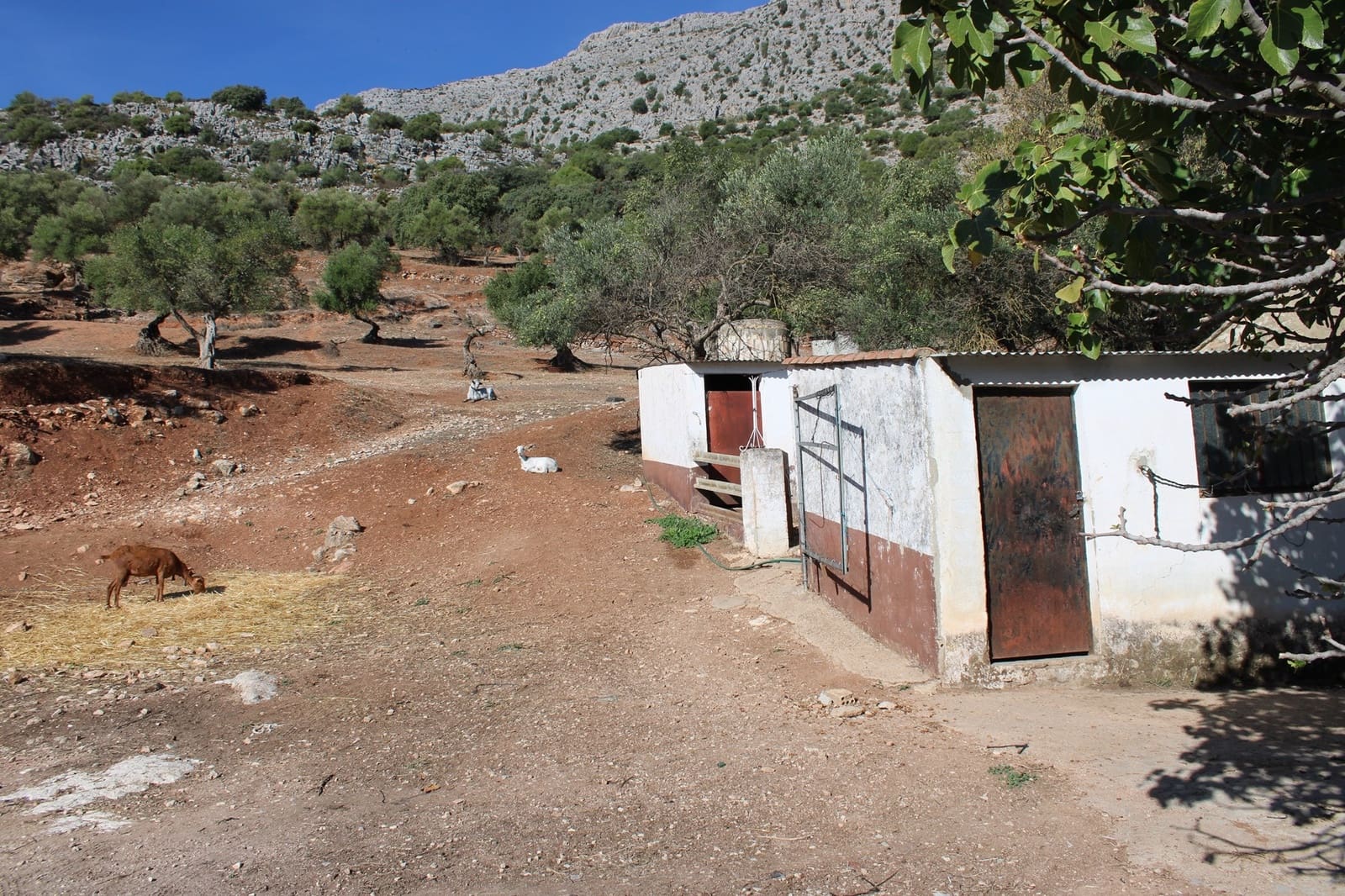 2 bedroom Finca/Country House for sale in Benaojan - € 380,000 (Ref: 8940221)