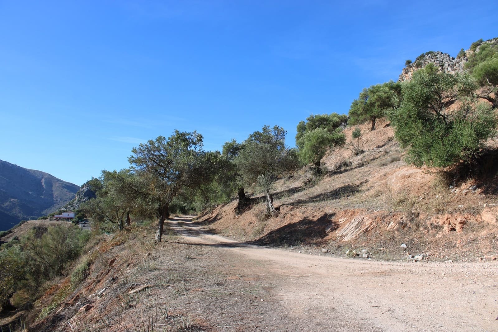 2 bedroom Finca/Country House for sale in Benaojan - € 380,000 (Ref: 8940221)